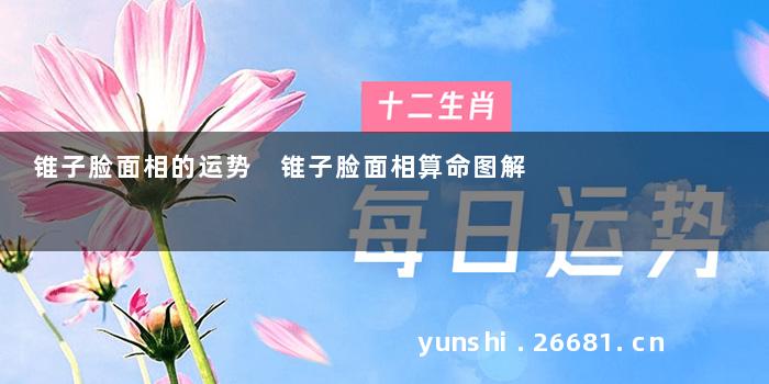 锥子脸面相的运势 锥子脸面相算命图解